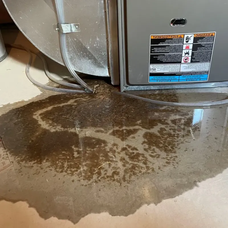 Pipe Burst and Leak Restoration in Bledsoe County, TN