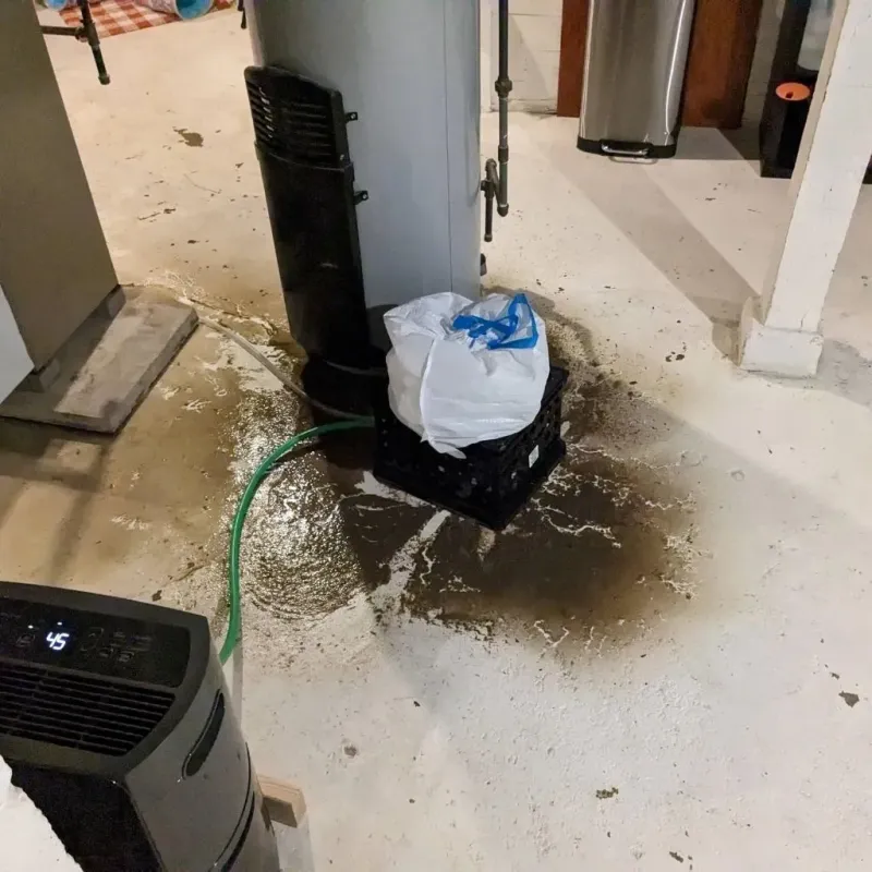 Sewage Backup Cleanup Service in Bledsoe County, TN